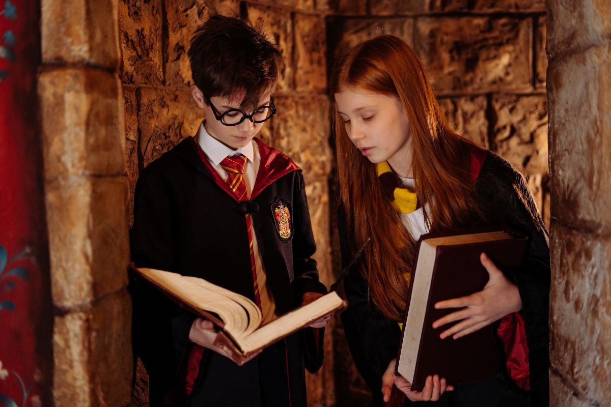 Are There Any Other Harry Potter Books?