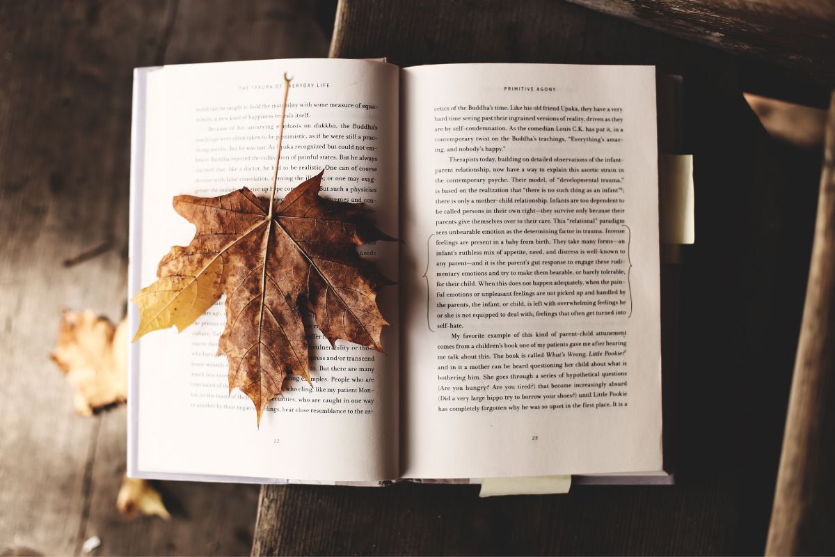 Falling Book Review