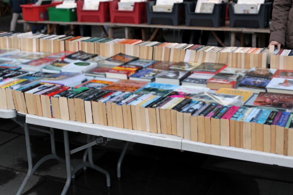 How Many Twilight Books Are There?