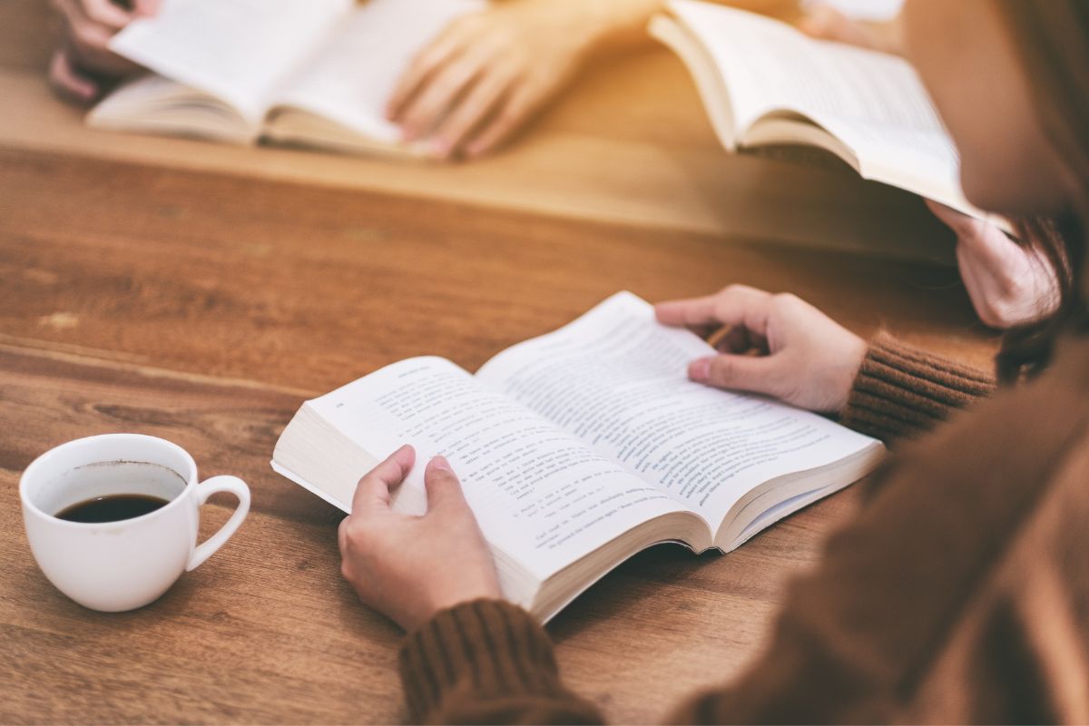 Chronic City Book Review